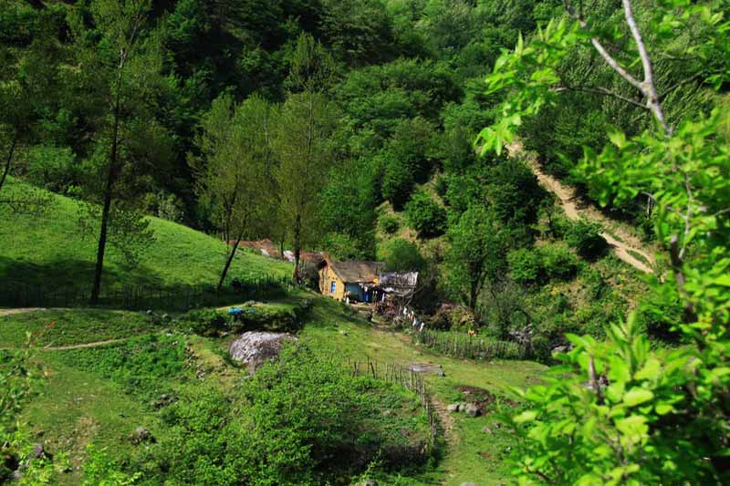 مسیرهای دسترسی به جنگل فندقلو اردبیل