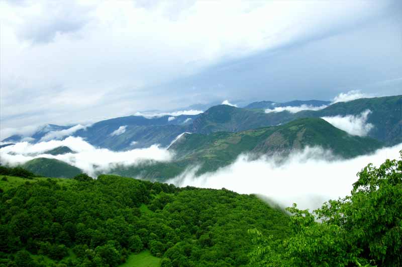 دسترسی به جنگل های ارسباران آذربایجان شرقی